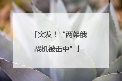 突发！“两架俄战机被击中”