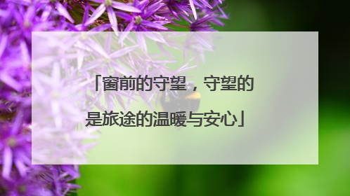 窗前的守望，守望的是旅途的温暖与安心