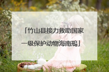 竹山县接力救助国家一级保护动物海南鳽