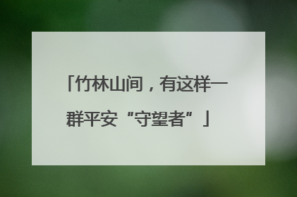 竹林山间，有这样一群平安“守望者”