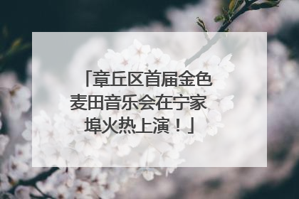 章丘区首届金色麦田音乐会在宁家埠火热上演！