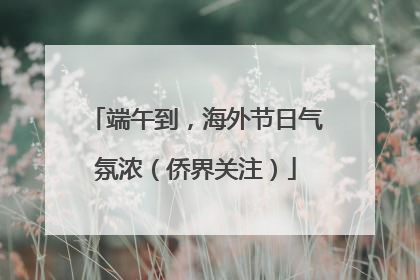 端午到，海外节日气氛浓（侨界关注）