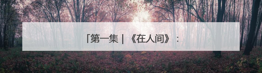 第一集｜《在人间》：一次与自己的灵魂对话