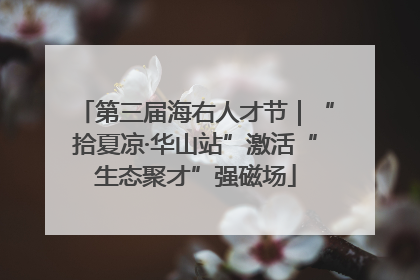 第三届海右人才节｜“拾夏凉·华山站”激活“生态聚才”强磁场