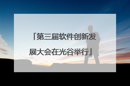 第三届软件创新发展大会在光谷举行