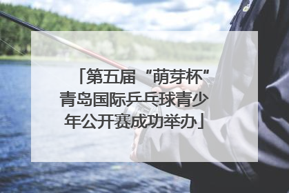 第五届“萌芽杯”青岛国际乒乓球青少年公开赛成功举办