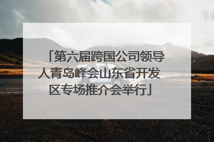第六届跨国公司领导人青岛峰会山东省开发区专场推介会举行