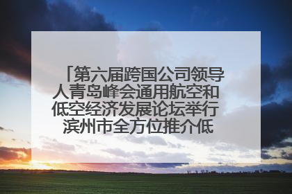 第六届跨国公司领导人青岛峰会通用航空和低空经济发展论坛举行 滨州市全方位推介低空经济发展优势