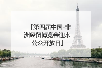 第四届中国-非洲经贸博览会迎来公众开放日