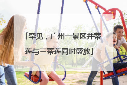 罕见，广州一景区并蒂莲与三蒂莲同时盛放