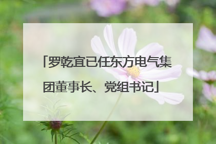 罗乾宜已任东方电气集团董事长、党组书记