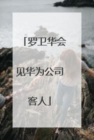 罗卫华会见华为公司客人