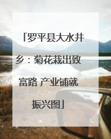 罗平县大水井乡：菊花栽出致富路 产业铺就振兴图