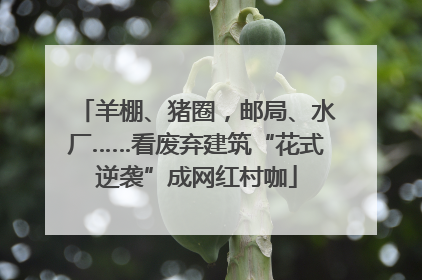 羊棚、猪圈，邮局、水厂……看废弃建筑“花式逆袭”成网红村咖