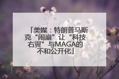 美媒：特朗普马斯克“闹崩”让“科技右翼”与MAGA的不和公开化