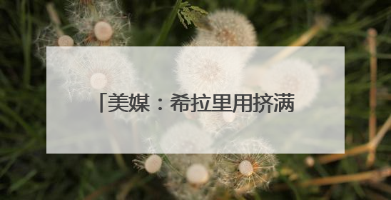 美媒：希拉里用挤满街头的示威人群画面作对比，嘲讽特朗普“低能量”阅兵式观众少