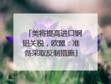 美将提高进口钢铝关税，欧盟：准备采取反制措施