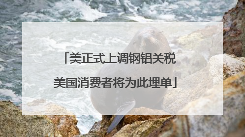 美正式上调钢铝关税 美国消费者将为此埋单