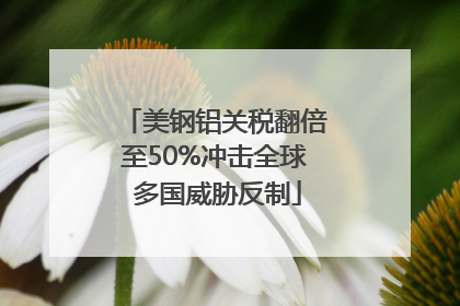 美钢铝关税翻倍至50%冲击全球 多国威胁反制