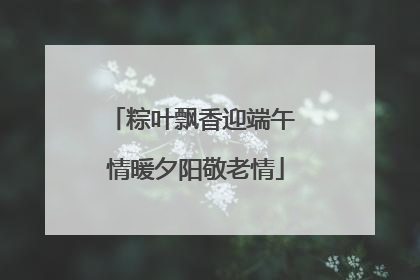 粽叶飘香迎端午 情暖夕阳敬老情