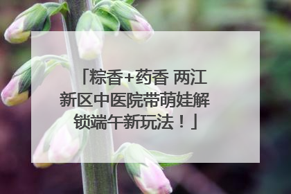 粽香+药香 两江新区中医院带萌娃解锁端午新玩法！
