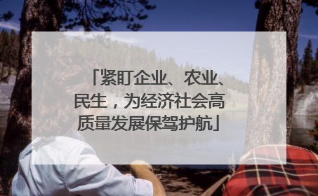 紧盯企业、农业、民生，为经济社会高质量发展保驾护航