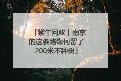 紫牛问政｜南京的这条路缘何留了200米不种树