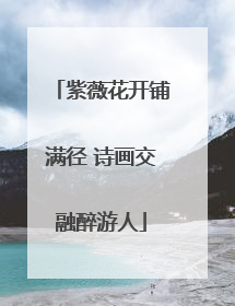 紫薇花开铺满径 诗画交融醉游人