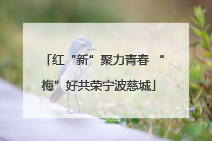 红“新”聚力青春 “梅”好共荣宁波慈城