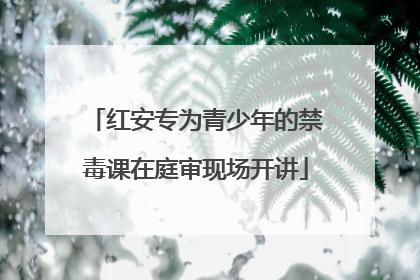 红安专为青少年的禁毒课在庭审现场开讲