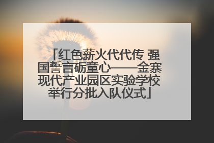 红色薪火代代传 强国誓言砺童心——金寨现代产业园区实验学校举行分批入队仪式