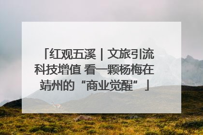 红观五溪｜文旅引流 科技增值 看一颗杨梅在靖州的“商业觉醒”