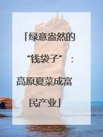 绿意盎然的“钱袋子”：高原夏菜成富民产业