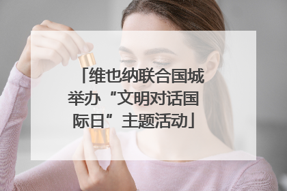 维也纳联合国城举办“文明对话国际日”主题活动