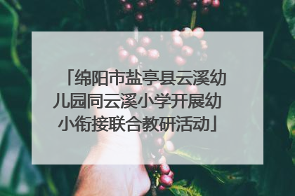 绵阳市盐亭县云溪幼儿园同云溪小学开展幼小衔接联合教研活动