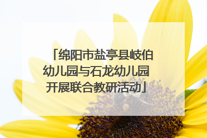 绵阳市盐亭县岐伯幼儿园与石龙幼儿园开展联合教研活动