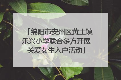 绵阳市安州区黄土镇乐兴小学联合多方开展关爱女生入户活动