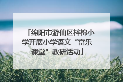 绵阳市游仙区梓棉小学开展小学语文“富乐课堂”教研活动