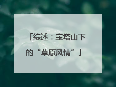 综述：宝塔山下的“草原风情”