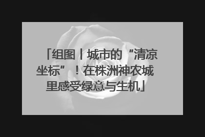 组图丨城市的“清凉坐标”！在株洲神农城里感受绿意与生机