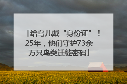给鸟儿戴“身份证”！25年，他们守护73余万只鸟类迁徙密码