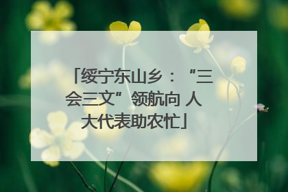 绥宁东山乡：“三会三文”领航向 人大代表助农忙