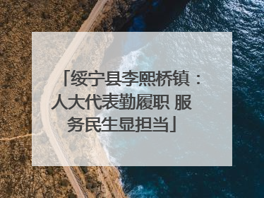 绥宁县李熙桥镇：人大代表勤履职 服务民生显担当