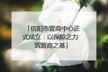 信阳市营商中心正式成立：以保障之力 筑营商之基