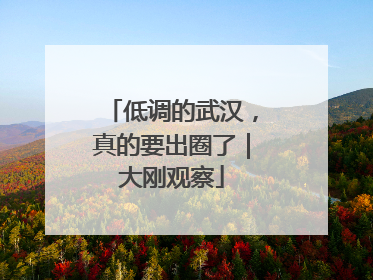 低调的武汉，真的要出圈了｜大刚观察
