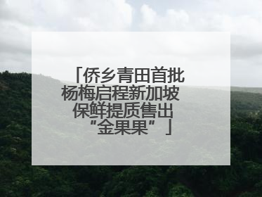 侨乡青田首批杨梅启程新加坡 保鲜提质售出“金果果”