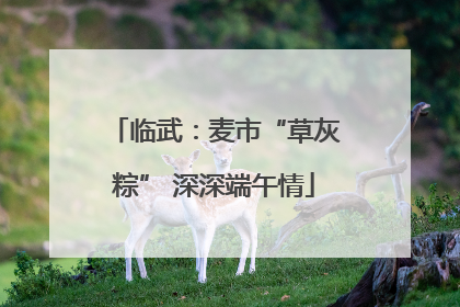 临武：麦市“草灰粽” 深深端午情