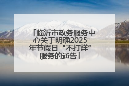 临沂市政务服务中心关于明确2025年节假日“不打烊”服务的通告