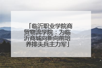 临沂职业学院商贸物流学院：为临沂商城向新向前培养排头兵主力军