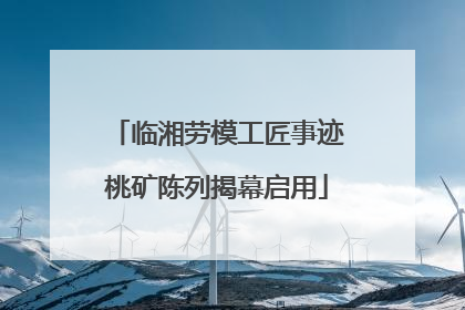 临湘劳模工匠事迹桃矿陈列揭幕启用